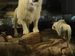 -陕西自然博物馆