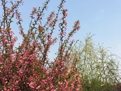 -花溪公园