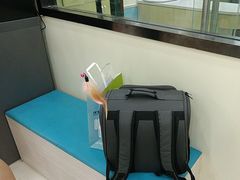 -天宠宠物医院24小时·急重症诊疗中心·全科·腔镜特色(和平分院)