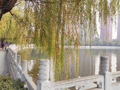 -迎泽公园