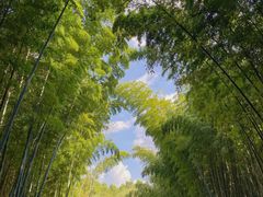 -同里国家湿地公园