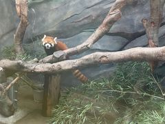 -武汉动物园