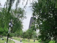 -西海子公园