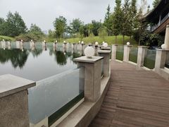-眉山湿地公园(东坡区)