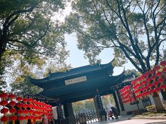-金山公园