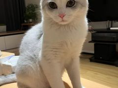 -芭比堂动物医院·犬猫全科·异宠专科(雁塔分院)