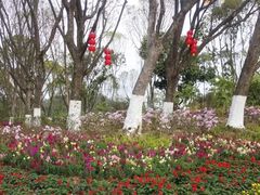 -东莞植物园
