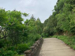 -府君山公园
