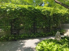 -碑林公园