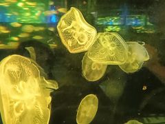-杭州野生动物世界
