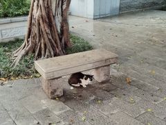 -荔湾湖公园