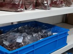 水产区-来噻布布 Lets BUBU