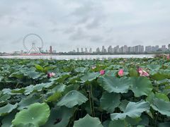 -唐山河头老街国丰维景度假大酒店