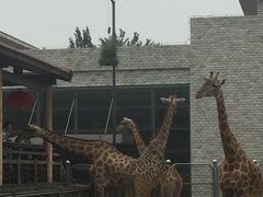 -石家庄市动物园