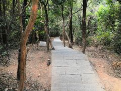 -梧桐山风景名胜区