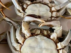 -麦德龙(湖里店)