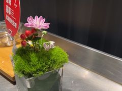 -眉州东坡(东坝店)
