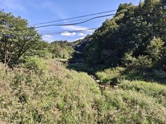 -三块石国家森林公园