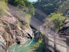 -广州白江湖森林公园