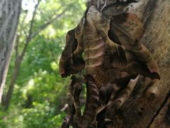 -碓臼峪自然风景区