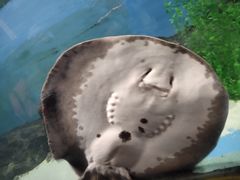 -苏州海洋馆