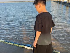 -碧海金沙