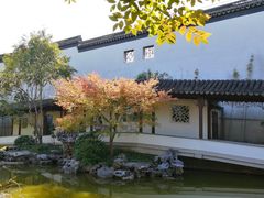 -秋霞圃