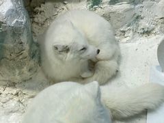 -哈尔滨极地公园