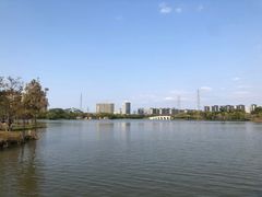 -顺峰山公园