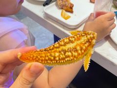 -半岛听涛蒸汽海鲜自助(K11店)