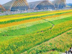 -中国天府农业博览园