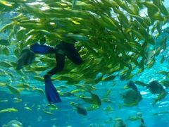 -福州罗源湾海洋世界旅游区