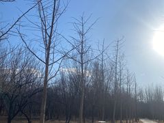-廊坊市自然公园