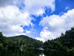 -四明山国家森林公园
