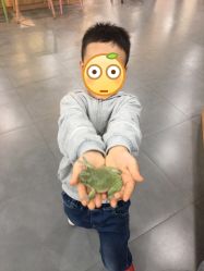 -Moni星球萌宠·小马宝莉·灵蛇·高端高阶全萌宠互动体验俱乐部(红豆国际广场店)