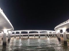 -演武大桥观景平台