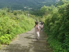 -武陵山森林公园