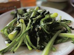 -罗坑大草原