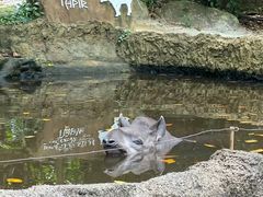 -河川生态园