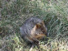 -费瑟代尔野生动物园