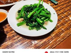 -老广酒楼(樱花店)