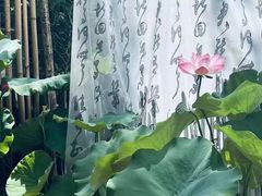 -南宁荔园维景国际酒店·荔园中餐厅