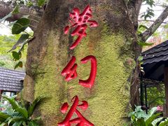-呀诺达热带雨林