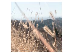 -蟠龙山长城景区