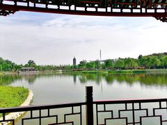 -西海子公园