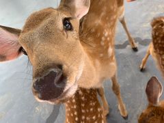 -威海华夏城景区