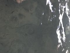 -溧阳天目湖天沐温泉