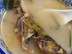 黄骨鱼-贺庄·活鱼馆(珠吉路店)