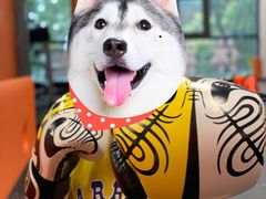 -体育科代表搏击散打体能训练馆(陶然亭店)