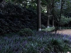 -巴金故居